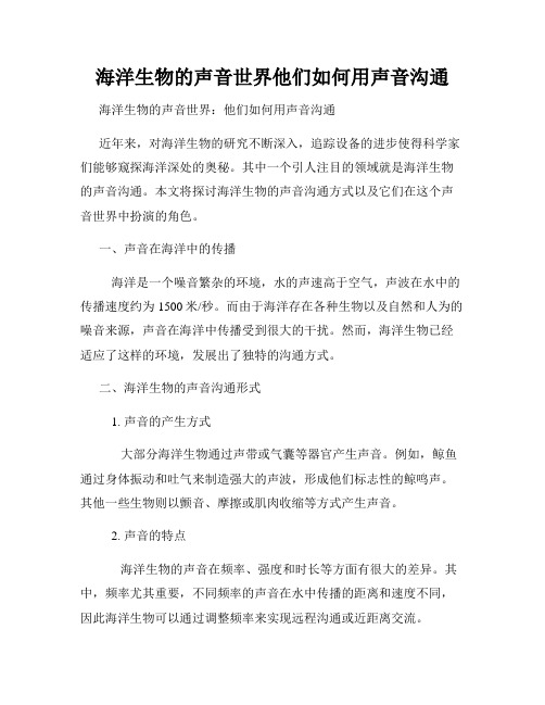 海洋生物的声音世界他们如何用声音沟通