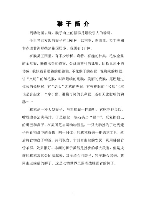 猴子简介