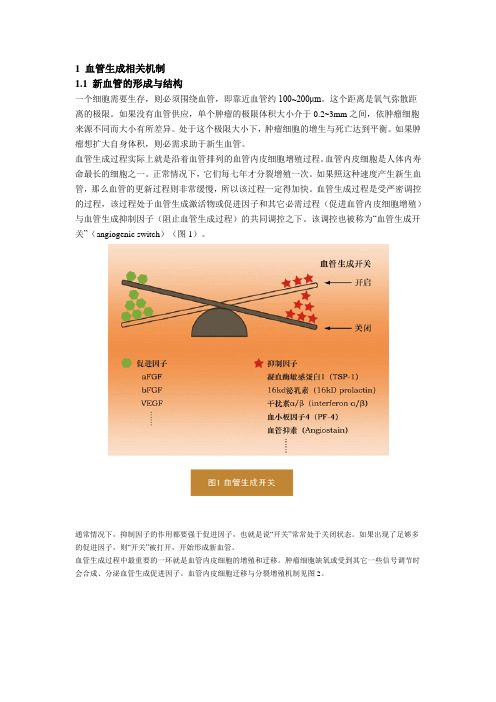 血管生成相关机制