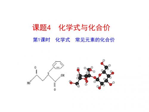 人教版九年级化学课件：4.4第1课时 化学式 (共26张PPT)