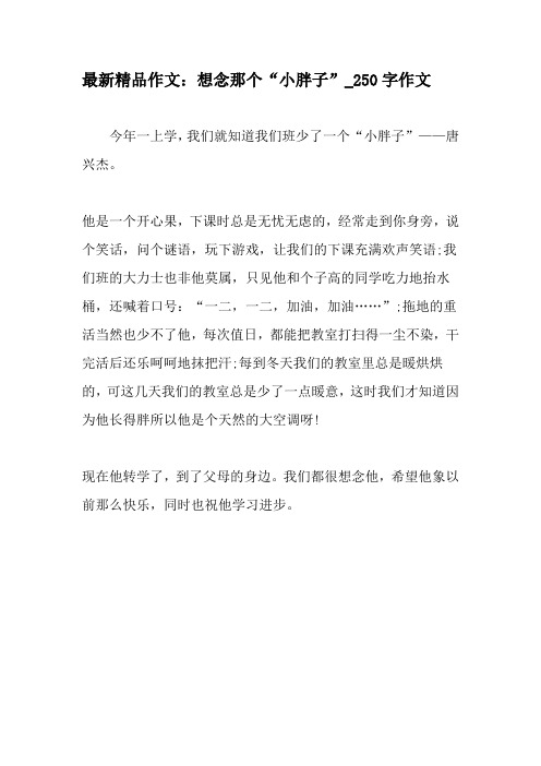 最新精品作文：想念那个“小胖子”_250字作文-精选作文