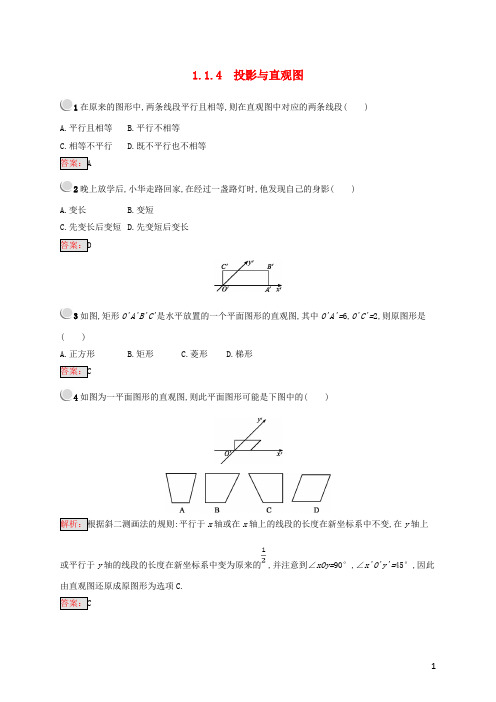 最新2019高中数学 第一章 1.1 空间几何体 1.1.4 投影与直观图训练 新人教B版必用2