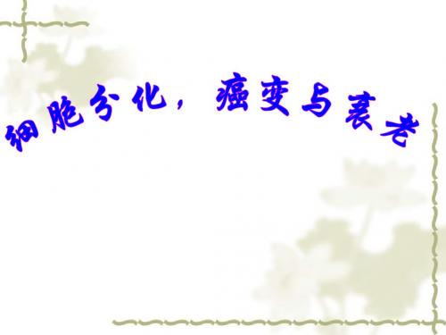【高中生物】细胞分化、癌变与衰老ppt