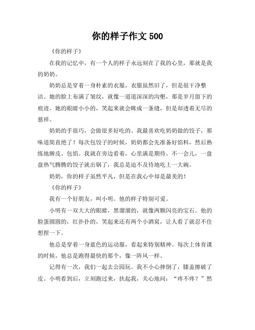 你的样子作文500