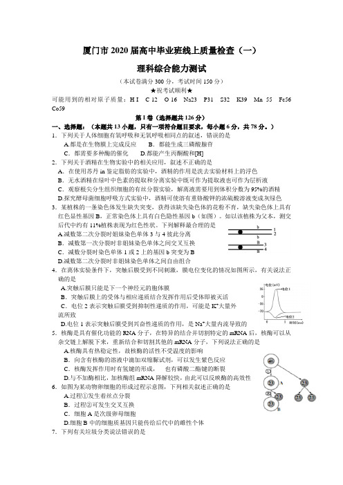 厦门市2020届高三毕业班3月线上质量检查理科综合试题与答案