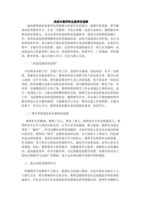 浅谈对教师职业素养的理解