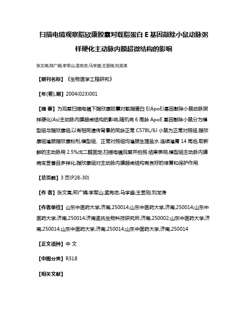 扫描电镜观察脂欣康胶囊对载脂蛋白E基因敲除小鼠动脉粥样硬化主动脉内膜超微结构的影响