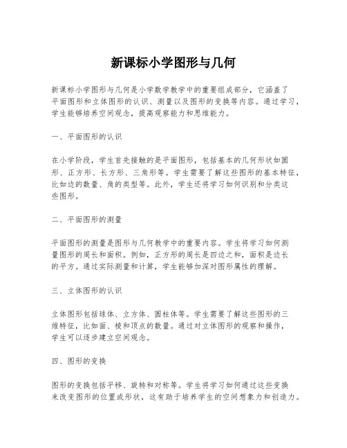 新课标小学图形与几何