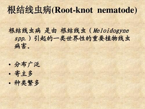 根结线虫病