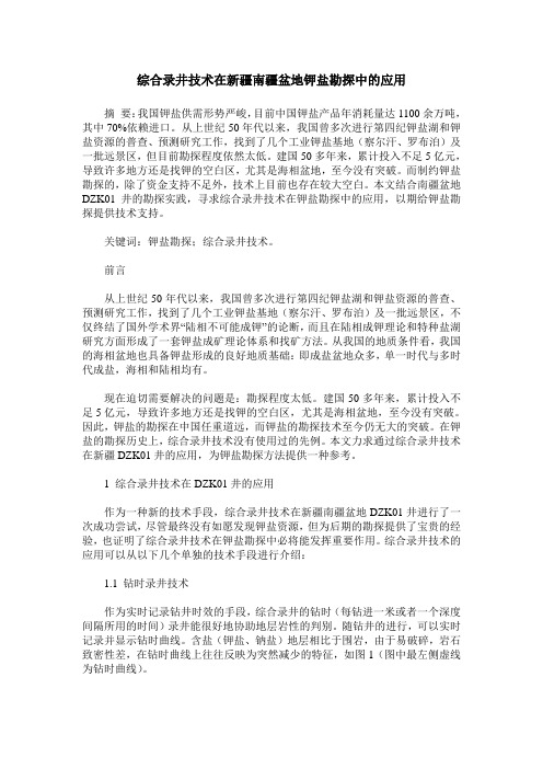 综合录井技术在新疆南疆盆地钾盐勘探中的应用