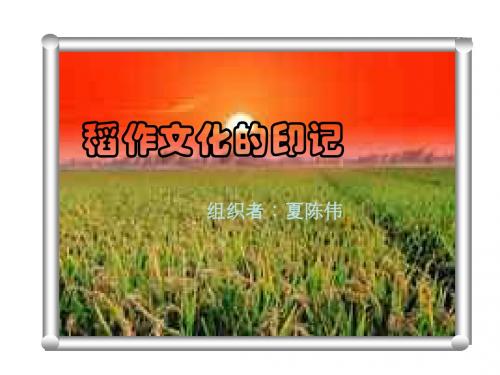 稻作文化的印记