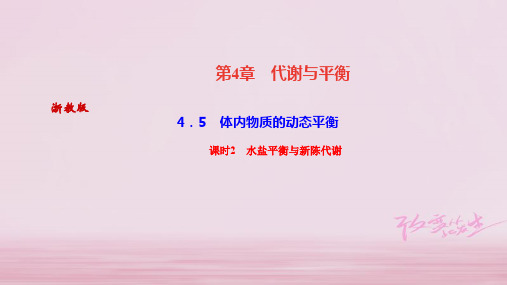 2019年秋浙教版九年级科学上册习题课件：4.5 体内物质的动态平衡课时2 水盐平衡与新陈代谢 (共24张PPT)