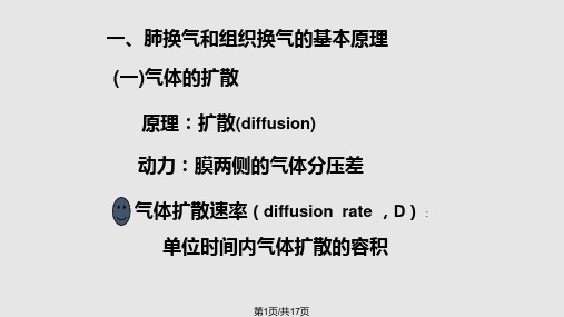 气体的扩散原理PPT课件