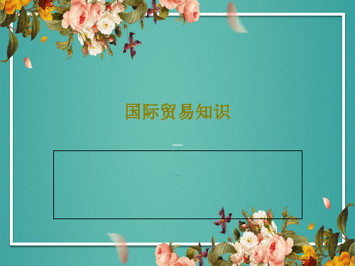 国际贸易知识PPT共46页