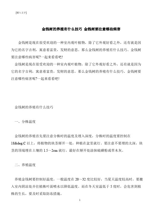 【推荐下载】金钱树的养殖有什么技巧 金钱树要注意哪些病害