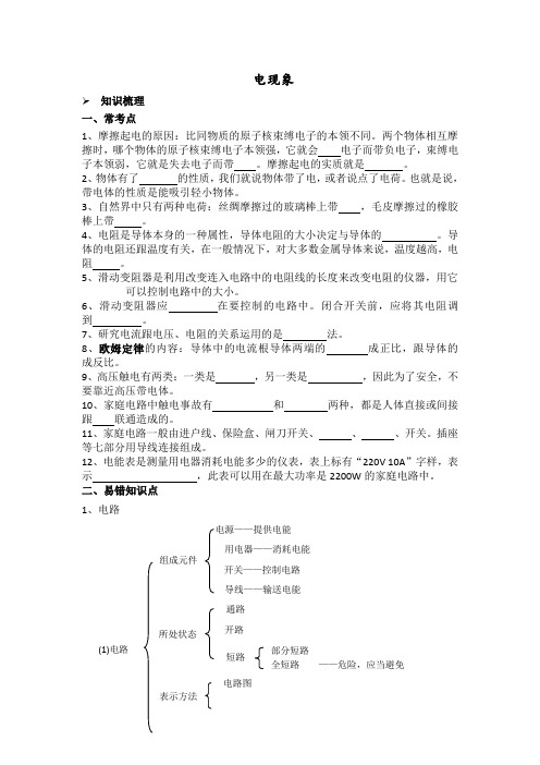 电学复习知识点和例题