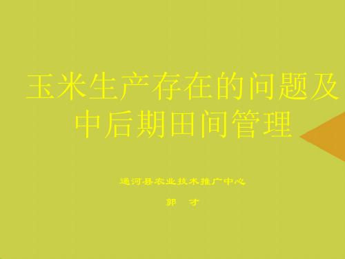【精选】玉米生产存在的问题及中后期田间管理PPT资料