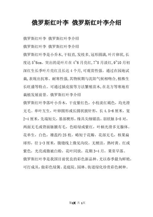 俄罗斯红叶李 俄罗斯红叶李介绍