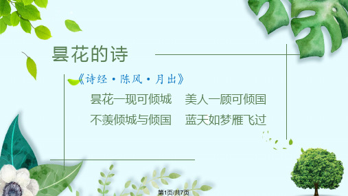 植物昙花介绍PPT课件