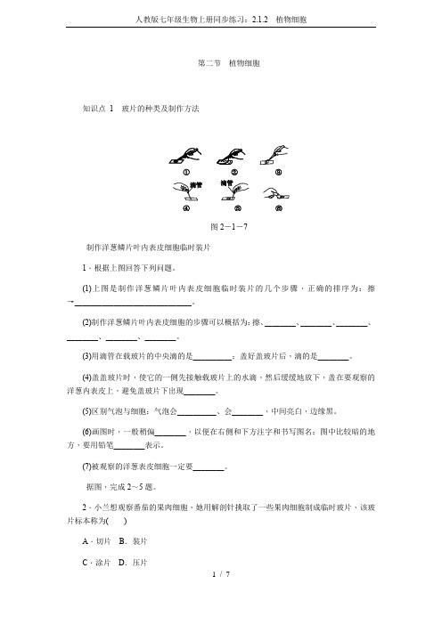 人教版七年级生物上册同步练习：2.1.2 植物细胞