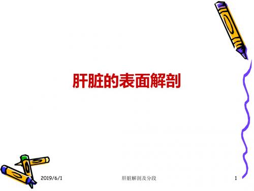 肝的解剖及分段