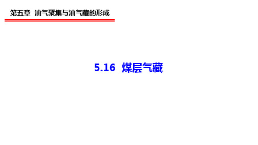 5.16 煤层气藏