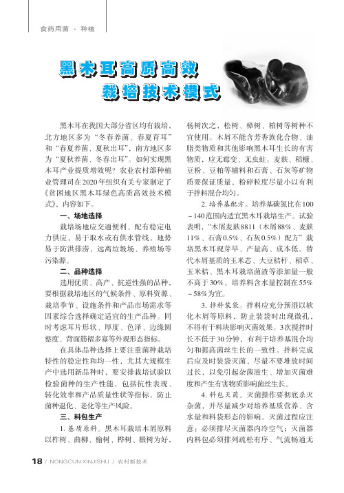 黑木耳高质高效栽培技术模式