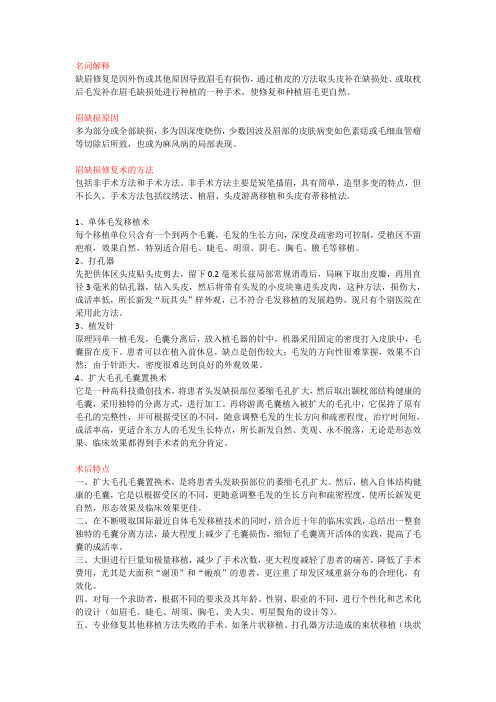 眉缺损修复术