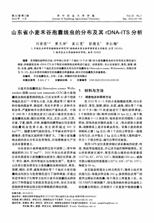 山东省小麦禾谷孢囊线虫的分布及其rDNA-ITS分析