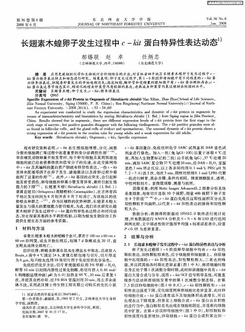 长翅素木蝗卵子发生过程中c—kit蛋白特异性表达动态