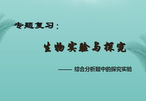 【全版】实验与探究中考复习研讨会公开课推荐PPT