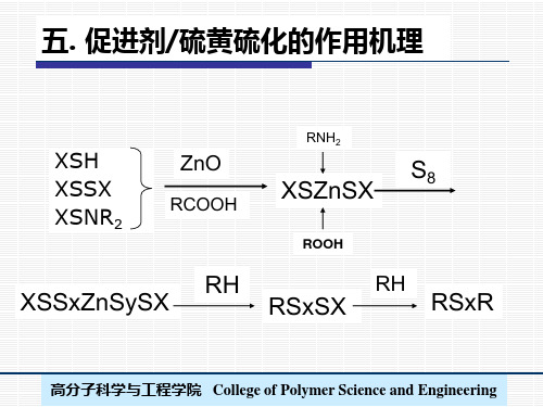 第2章-3-硫化机理和各种硫化体系
