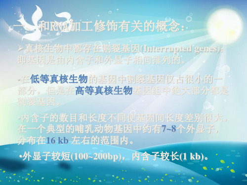 RNA转录后的加工