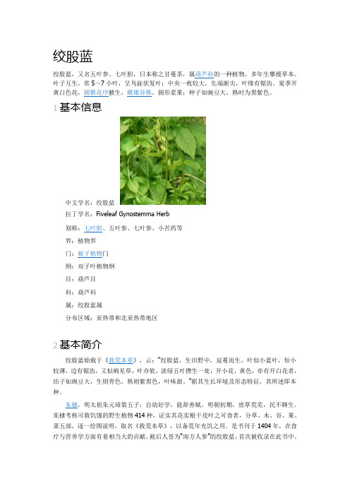 绞股蓝