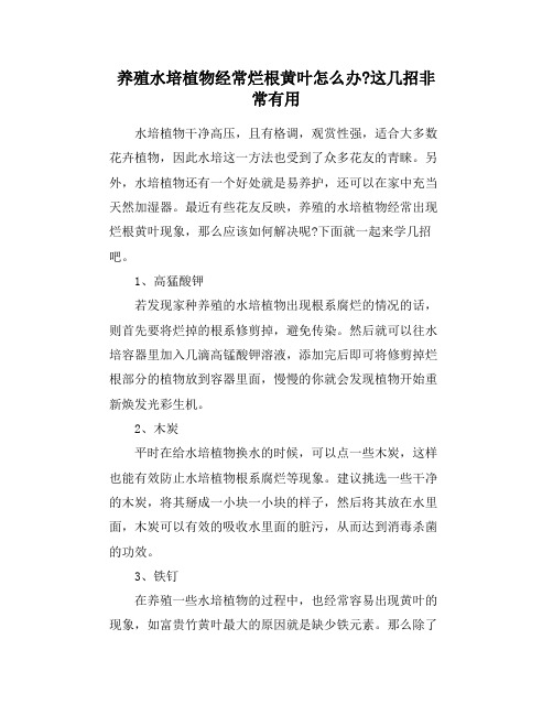 养殖水培植物经常烂根黄叶怎么办-这几招非常有用