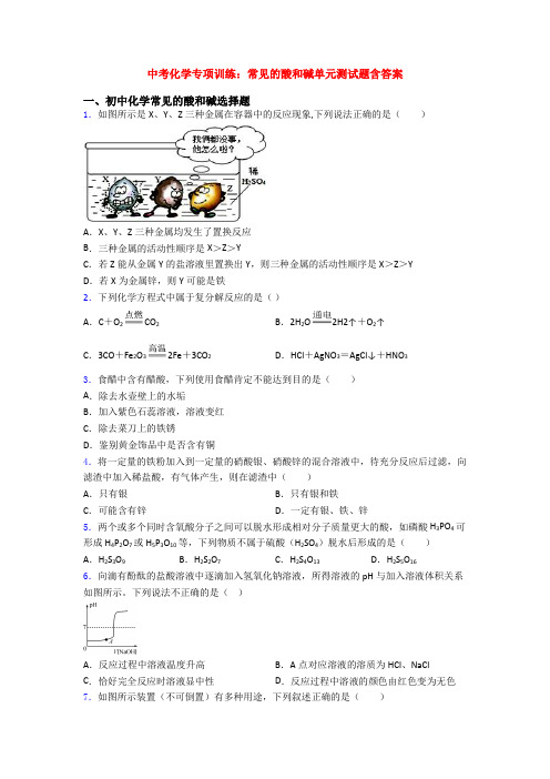 中考化学专项训练：常见的酸和碱单元测试题含答案