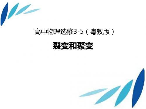 裂变和聚变
