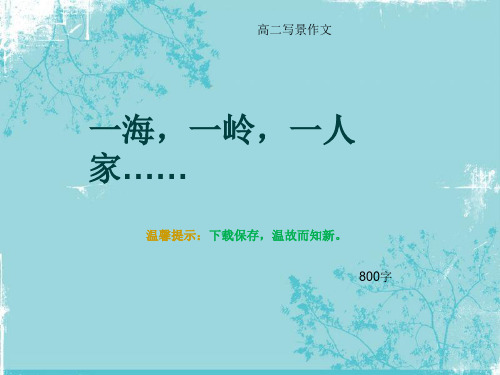 高二写景作文《一海,一岭,一人家……》800字