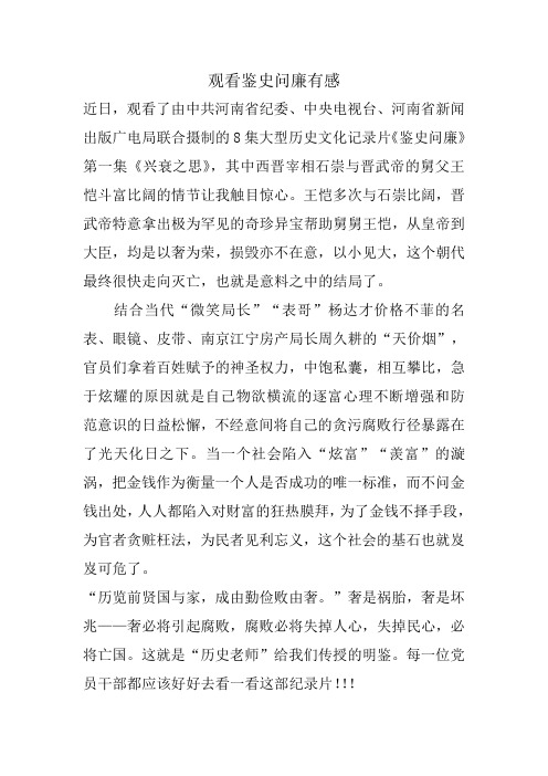 观看鉴史问廉有感
