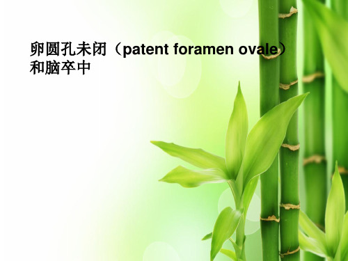 卵圆孔未闭