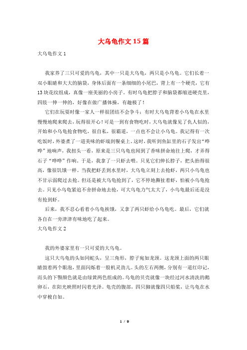 大乌龟作文15篇