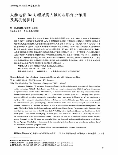 人参皂苷Re对糖尿病大鼠的心肌保护作用及其机制探讨