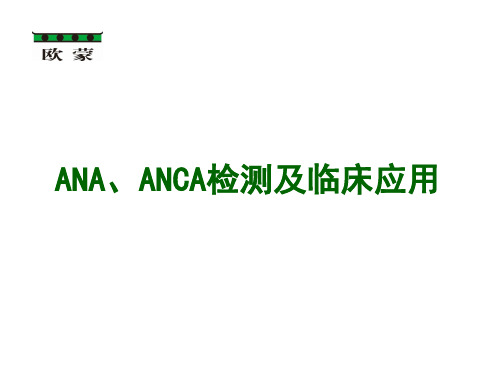 ANA ANCA检测及临床应用