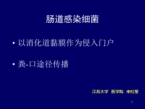 消化道感染细菌-2