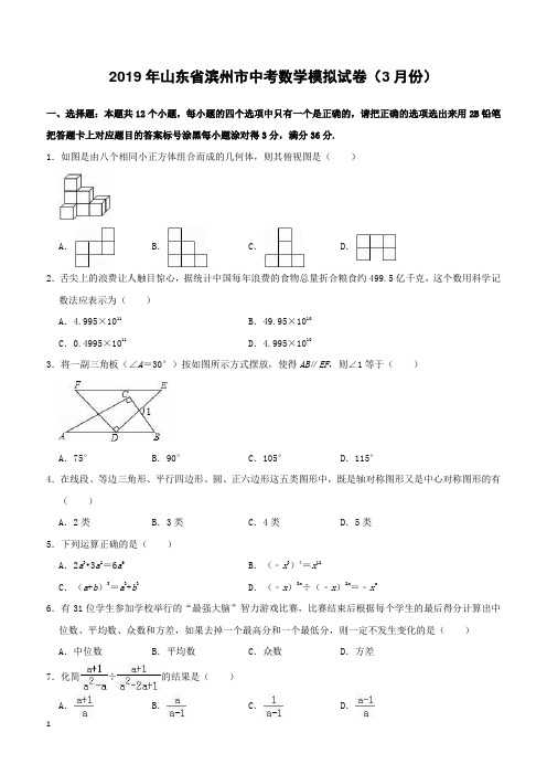 山东省滨州市2019年中考数学模拟(3月)试卷及答案
