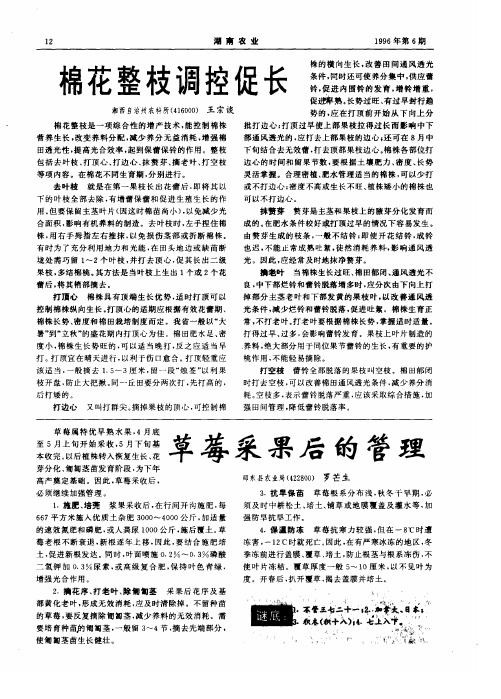 棉花整枝调控促长