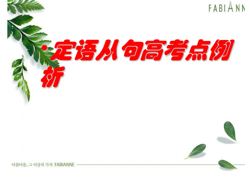 定语从句高考点例析