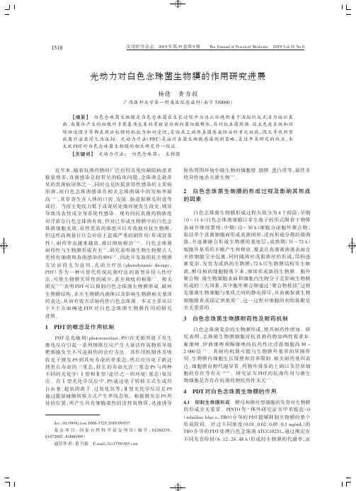 光动力对白色念珠菌生物膜的作用研究进展