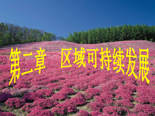 2.1荒漠化的危害与治理