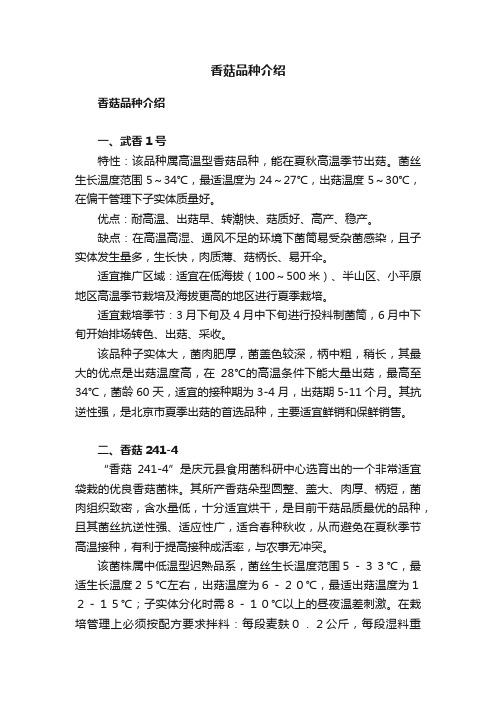 香菇品种介绍